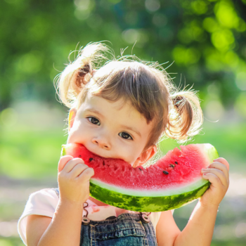 CURSO DE ALIMENTACIÓN. ENTENDER EL PROCESO DE APRENDER A COMER Y LOS PROBLEMAS DE SELECTIVIDAD ALIMENTARIA.